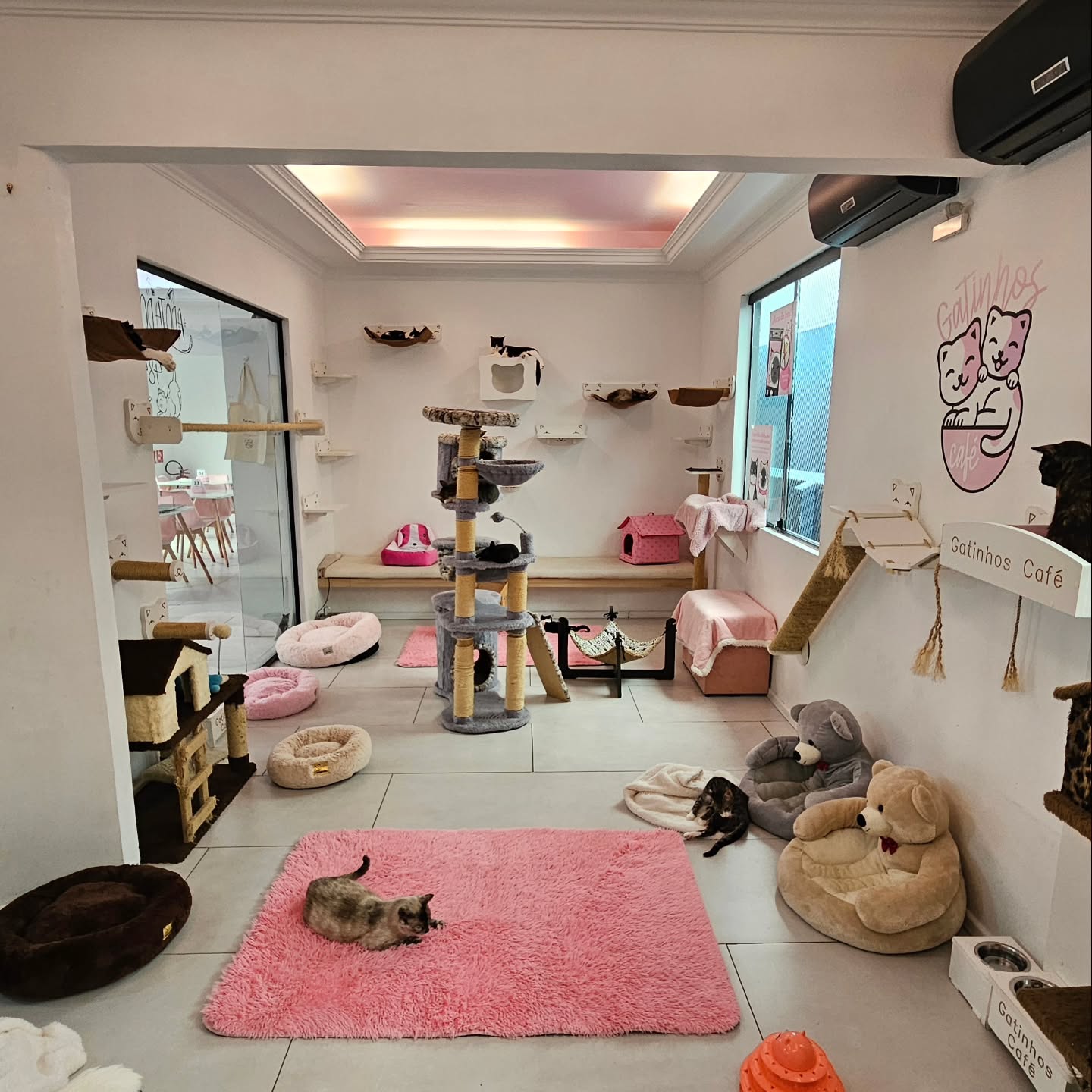 Ambiente interno do Gatinhos Café com pessoas e gatos